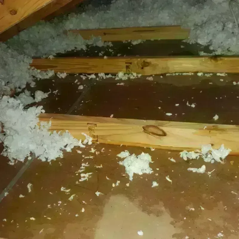 Attic Water Damage in Santa Fe, NM