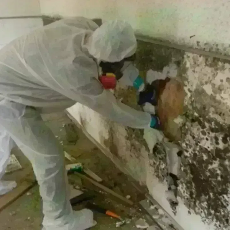 Mold Remediation and Removal in Santa Fe, NM