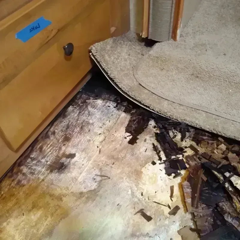 Best Wood Floor Water Damage Service in Santa Fe, NM